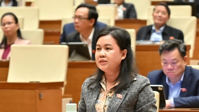 Proyecto de Ley sobre Protección de Secretos de Estado (modificado): Especificación del alcance de los secretos de Estado