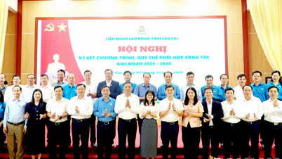 Liên đoàn Lao động tỉnh tổ chức ký kết Quy chế phối hợp công tác giai đoạn 2025 - 2030
