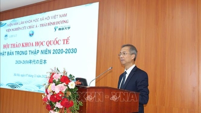 Políticas de cooperación para la planificación entre Vietnam y Japón en el futuro