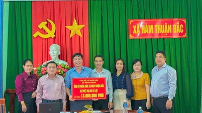 Dong Giang fait un don de 52 millions de VND pour soutenir les localités touchées par les inondations.