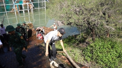 Керівництво міста Хюе доручило подолати ситуацію з повені на вежі Фу Дьєн Чам