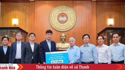 Vietnam Fatherland Front allocates 30 billion VND to support localities to overcome the consequences of storm No. 13