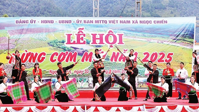 Nytt risfirande på sagolika landsbygden