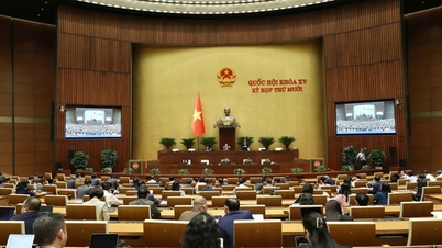 Perfecționarea legislației privind securitatea cibernetică și protejarea secretelor de stat în era digitală