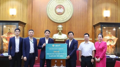 Allocating 30 billion VND to support localities to overcome the consequences of storm No. 13