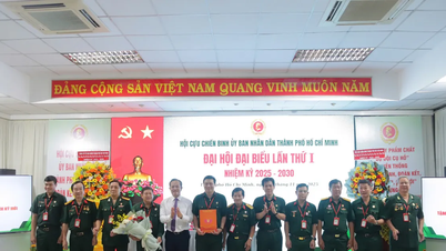 សមមិត្ត Doan Truong Quang ជាប្រធានសមាគមអតីតយុទ្ធជននៃគណៈកម្មាធិការប្រជាជនទីក្រុងហូជីមិញ។