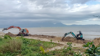 Da Nang menyokong 5 bilion VND untuk 3 wilayah yang rosak akibat ribut No. 13