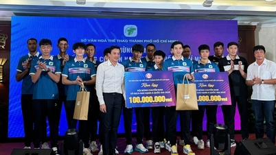 Męska drużyna siatkówki Ho Chi Minh City świętuje awans