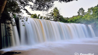 Preserving Dong Nai cultural heritage with digital technology
