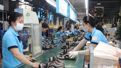 More opportunities to promote investment in Dong Nai