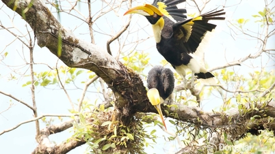 [سلسلة صور] منتزه بو جيا ماب الوطني "يحكي قصصًا" عن تغير الفصول