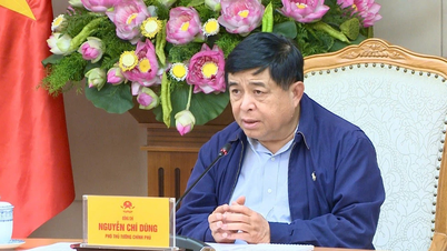 Completing the priority strategic technology product development program