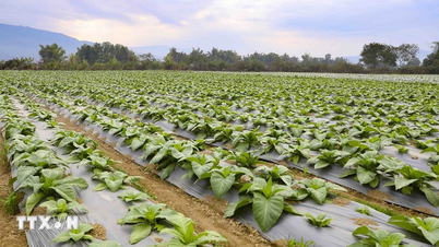 Extending the agricultural land use tax exemption period until the end of 2030