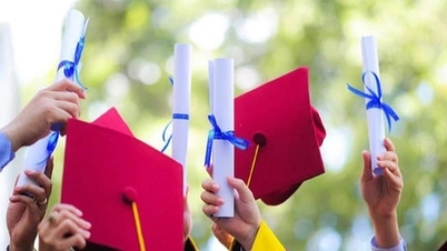 ¿Qué profesores recibirán el salario más alto, aplicándoseles mecanismos especiales?