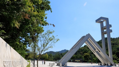 二人の優秀な学生が校内暴力に関与したため大学入学試験に不合格となった。