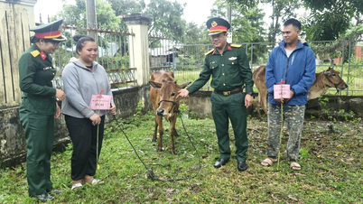 Kumpulan Ekonomi-Pertahanan 710 menyerahkan 34 ekor lembu pembiakan kepada isi rumah miskin