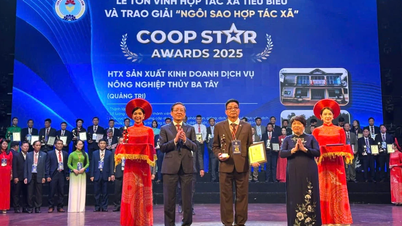 Điểm sáng đổi mới trong kinh tế tập thể