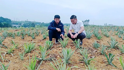 Than Station អភិវឌ្ឍវិស័យកសិកម្ម ព្រៃឈើ និងនេសាទប្រកបដោយនិរន្តរភាព