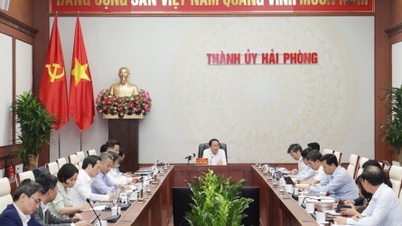 ទីក្រុង Hai Phong ពន្លឿនការអនុវត្តតំបន់សេដ្ឋកិច្ចពិសេស បង្កើតសន្ទុះអភិវឌ្ឍន៍ថ្មី។