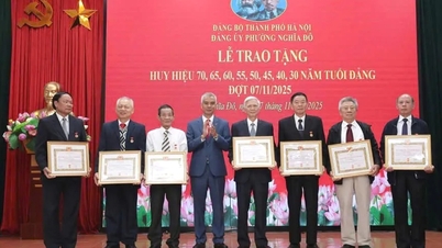 Nghia Do Ward tildelte partimerker til 144 partimedlemmer