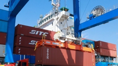 Affirming Vietnam's transparency in global trade