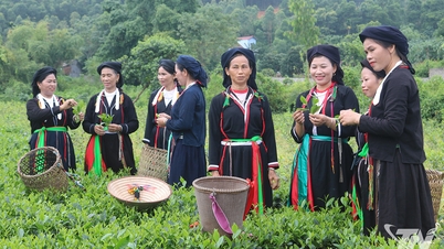 Ein Wohngebiet blüht auf