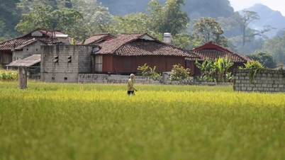 Tay-landsbyen i Vietnam er kåret til «verdens beste turistlandsby i 2025»