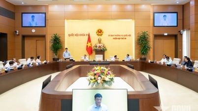 Øk familiefradraget til 15,5 millioner VND/måned, gjeldende fra skatteperioden 2026