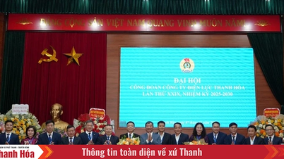 להאיר את האמונה מכוחה של הסולידריות