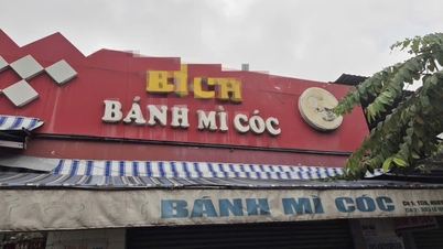 살모넬라균은 빵을 먹고 80명이 병원에 입원하게 만든 원인균입니다.