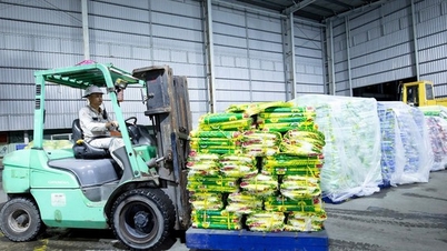 PVCFC oferă sprijin urgent pentru materiale de prevenire a inundațiilor în Da Nang și Dak Lak