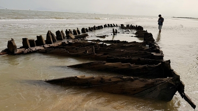数か月間行方不明になっていたホイアンの古代船が、嵐13号の後、突然無傷で浮上した。