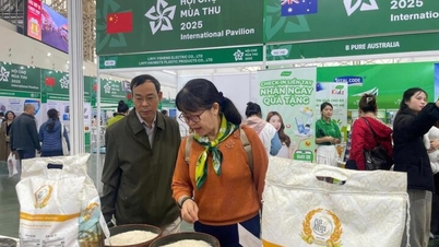 Les entreprises vietnamiennes récoltent de nombreux fruits après la Foire d'automne 2025