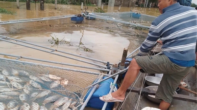 نقصان سے بچنے کے لیے آبی زراعت کی شکلوں کو متنوع بنائیں