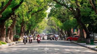 The 'leading birds' in the journey to create clean cities
