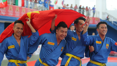 Vietnam continues to hold the top position in the World Vovinam Championship