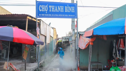 Gia Lai, Quang Ngai: Pomáháme lidem stabilizovat jejich životy a obnovit životní prostředí po bouři