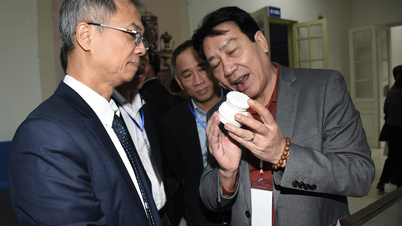 थांग लोंग शाही गढ़ के भूमिगत रहस्यों को सुलझाना