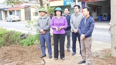 Xã An Thành không phát sinh vi phạm đất đai, môi trường