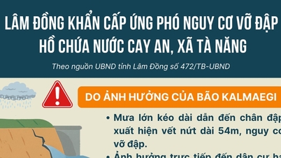 Chairman of Lam Dong Provincial People's Committee Ho Van Muoi directed to overcome and handle landslides at Cay An Reservoir.