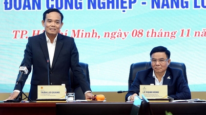 เลขาธิการ Tran Luu Quang: นครโฮจิมินห์จะเดินทางร่วมกับ Petrovietnam