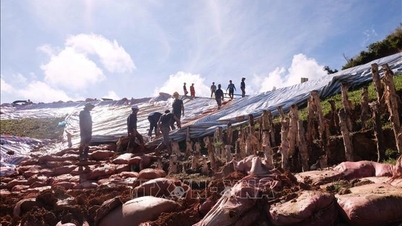 Lam Dong: Tasik Cay An stabil selepas malam pengukuhan kecemasan, 110 isi rumah dipindahkan