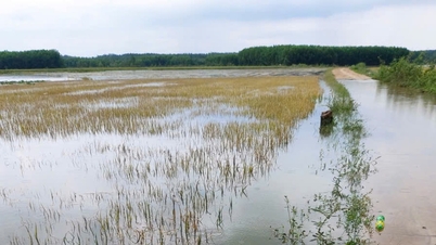 ນ້ຳ​ແທ່ງ​ໄດ້​ຮັບ​ຄວາມ​ເສຍ​ຫາຍ​ເກືອບ 6 ຕື້​ດົ່ງ ຍ້ອນ​ພະຍຸ ແລະ ຝົນ.