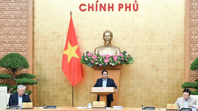 [Foto] Premier Pham Minh Chinh leidt de reguliere regeringsvergadering in oktober