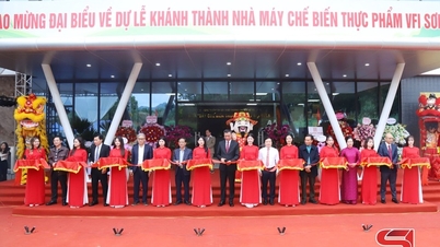 VFIソンラ食品加工工場の開所式