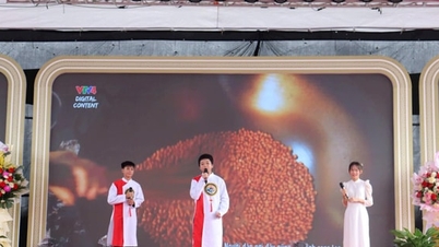 การแข่งขันที่น่าตื่นเต้น “เรียนรู้เกี่ยวกับวันกฎหมายเวียดนามและการเปลี่ยนแปลงทางดิจิทัล” ในตำบล Phuong Duc