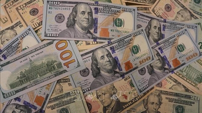 Fed rate cut hopes increase pressure on USD