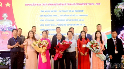 Congres van de Lao Cai Provincial Gas Association voor de periode 2025-2030