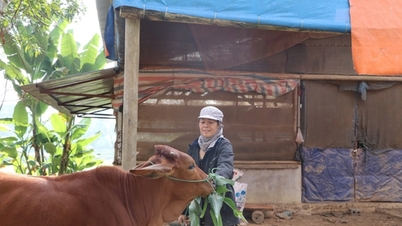 Thai Nguyen mempercepatkan pelaksanaan program pengurangan kemiskinan yang mampan hingga 2030