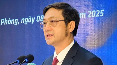 Περισσότεροι από τους μισούς δημόσιους υπαλλήλους σε επίπεδο κοινότητας που εργάζονται στη διοίκηση της εκπαίδευσης δεν έχουν καμία εμπειρογνωμοσύνη ή εμπειρία.